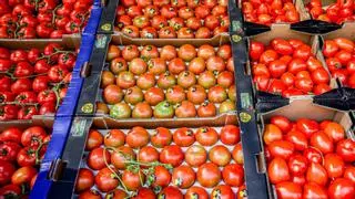 El tomate como ingrediente estrella del verano: de la gastronomía a la cosmética