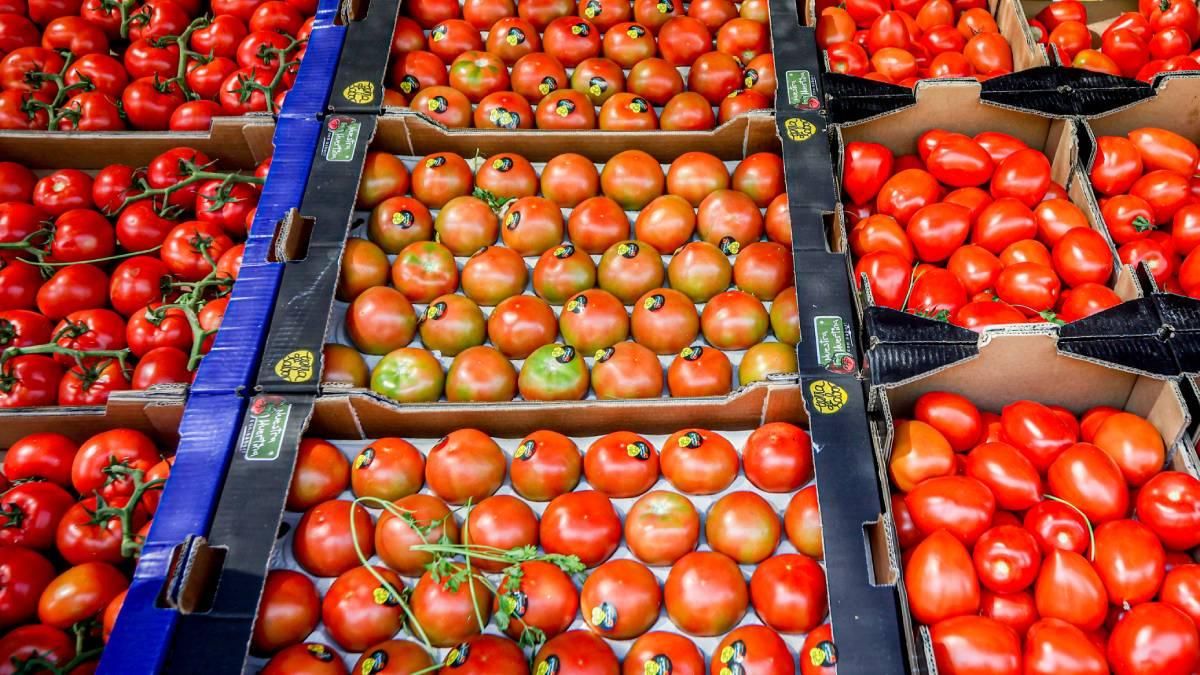 Tomates en un puesto de Tetuán.