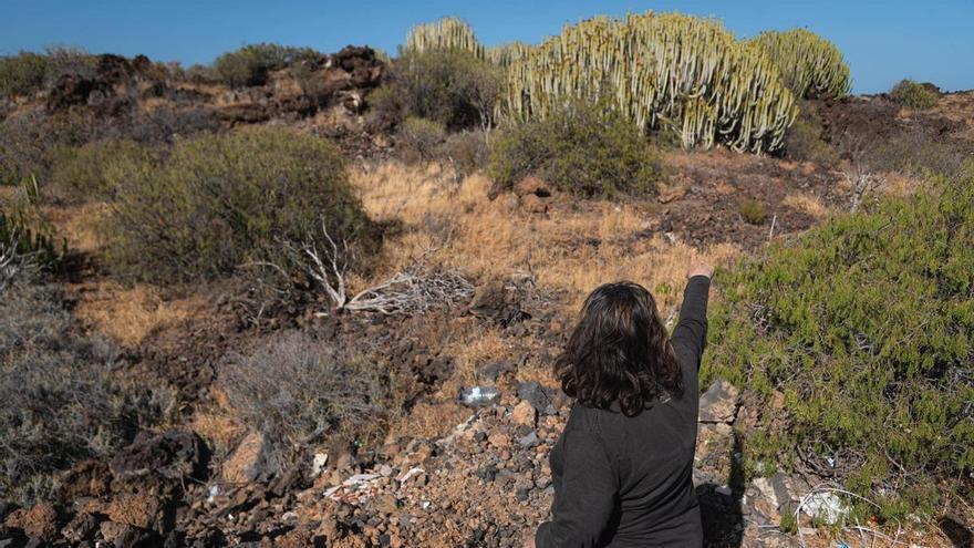 Canary Islands Digitization Project Faces Legal Challenge Over Protected Land Boundaries
