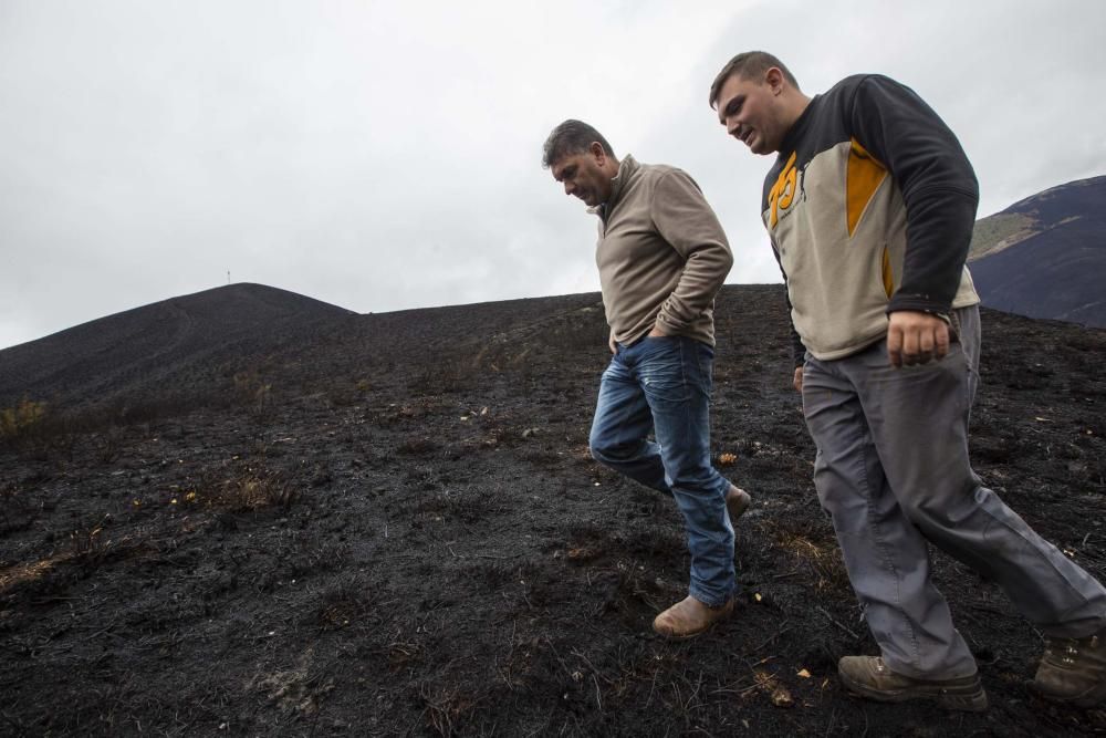 Desolación en el suroccidente asturiano tras los incendios