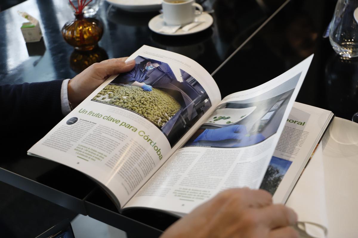 Radiografía del sector oleícola en Córdoba, en imágenes