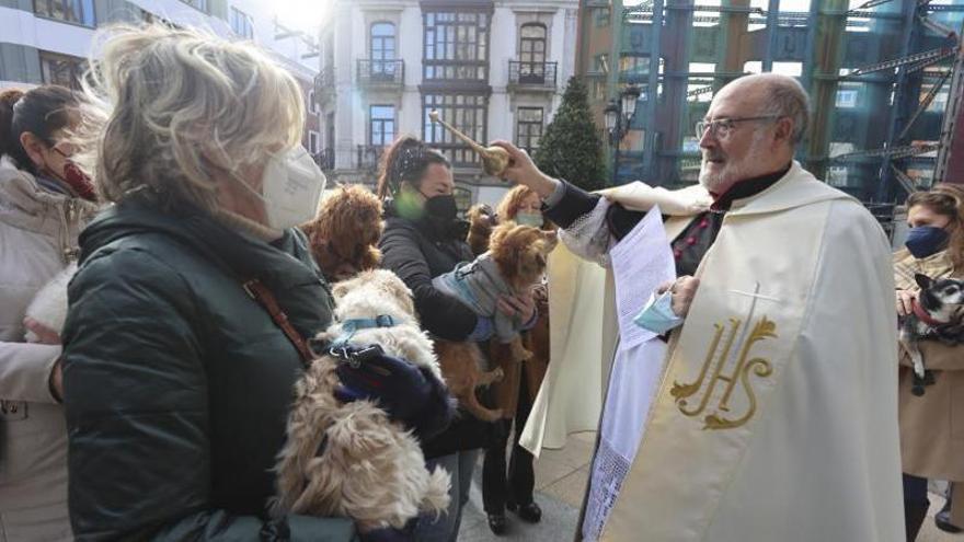 Seres sintientes y creyentes en San Juan