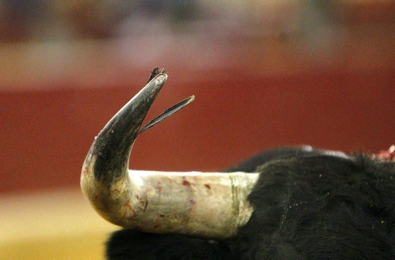 Quinta corrida de Feria