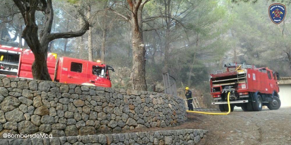 Waldbrand bei Cala Tuent am Mittwoch, 23. November 2016