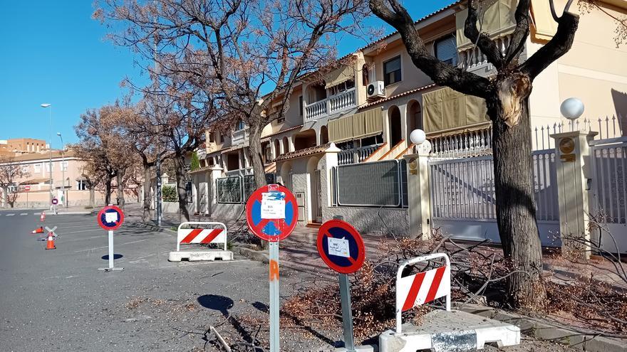 San Vicente poda las melias de varias calles para evitar el riesgo de caída de ramas