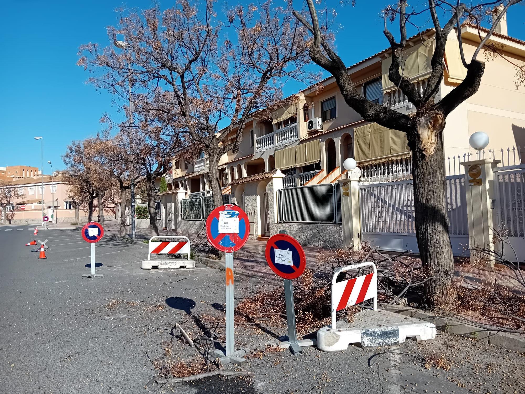 Poda realizada este miércoles en la calle Dénia