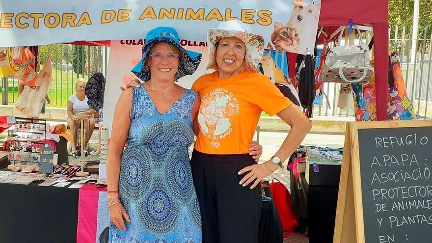 Trabajan a 35 grados para ayudar a un refugio para 200 animales y les roban toda la recaudación en Isla Cristina
