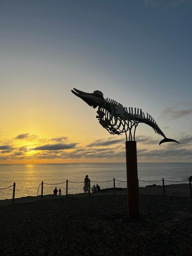 Esqueleto de ballena frente a las costas de El Cotillo, en Fuerteventura