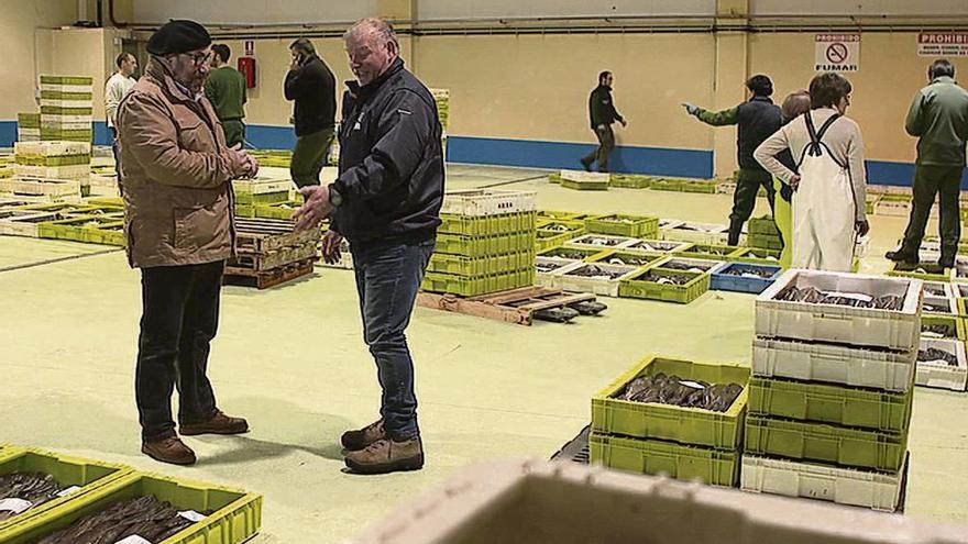 &#039;Pescadores de historias&#039; recalará hoxe no porto lucense de Celeiro