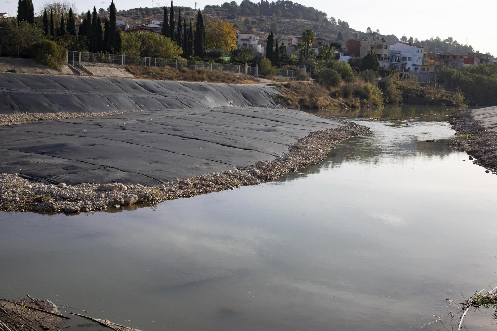 Recuperación del bosque de ribera en el río Albaida