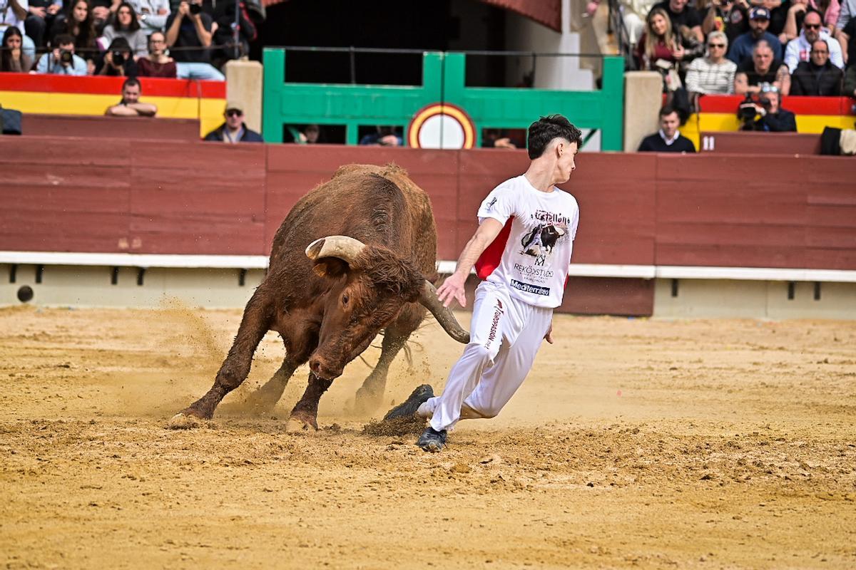 Galería de imágenes: Los maestros de la calle toman la plaza de Castelló