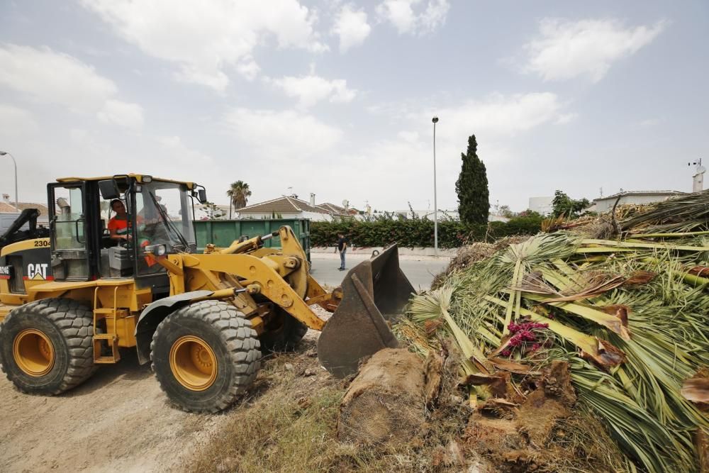 El Ayuntamiento ha encargado un plan de choque de limpieza de urbanizaciones y el centro del casco urbano. Sin contrato, por valor de 117.000 euros mensuales  que se suma a la factura millonaria de 14