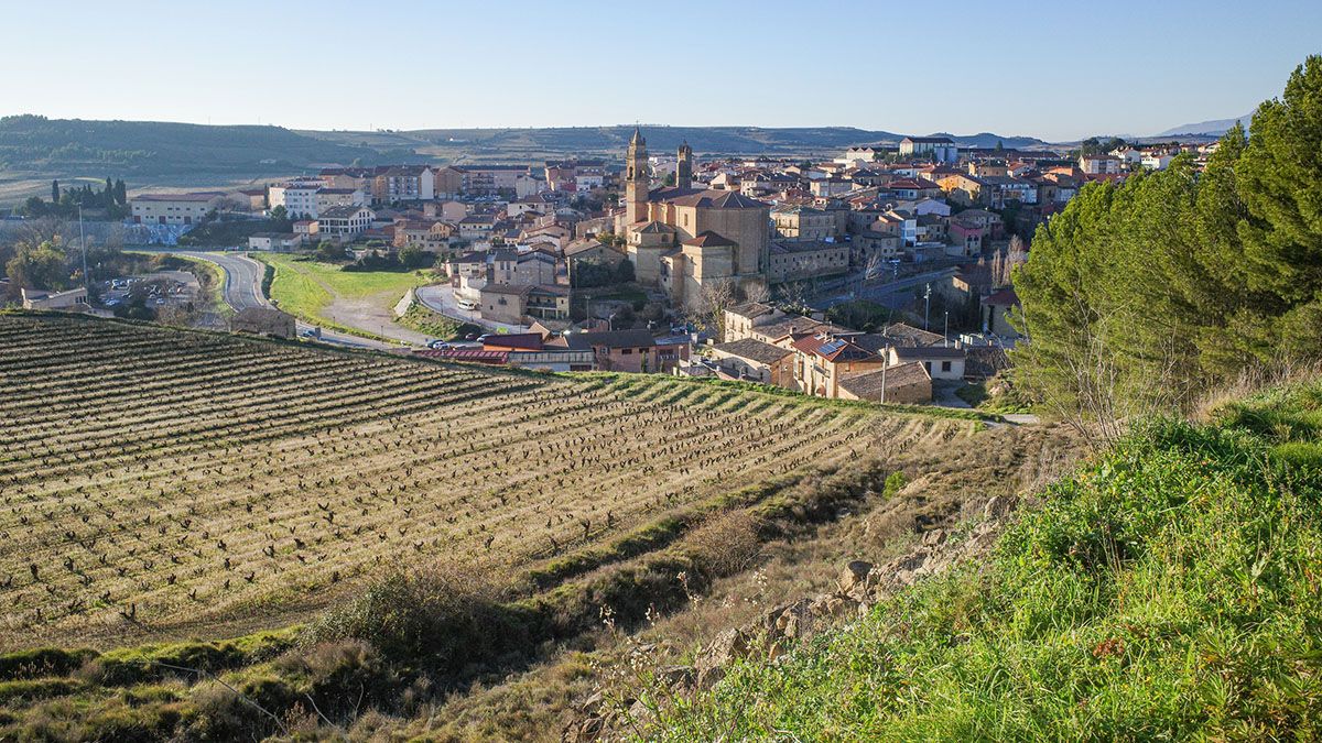 Los viñedos que rodean Elciego, en plena Rioja Alavesa, dibujan un paisaje sereno donde la Navidad se vive entre tradición, luz y aromas de invierno.