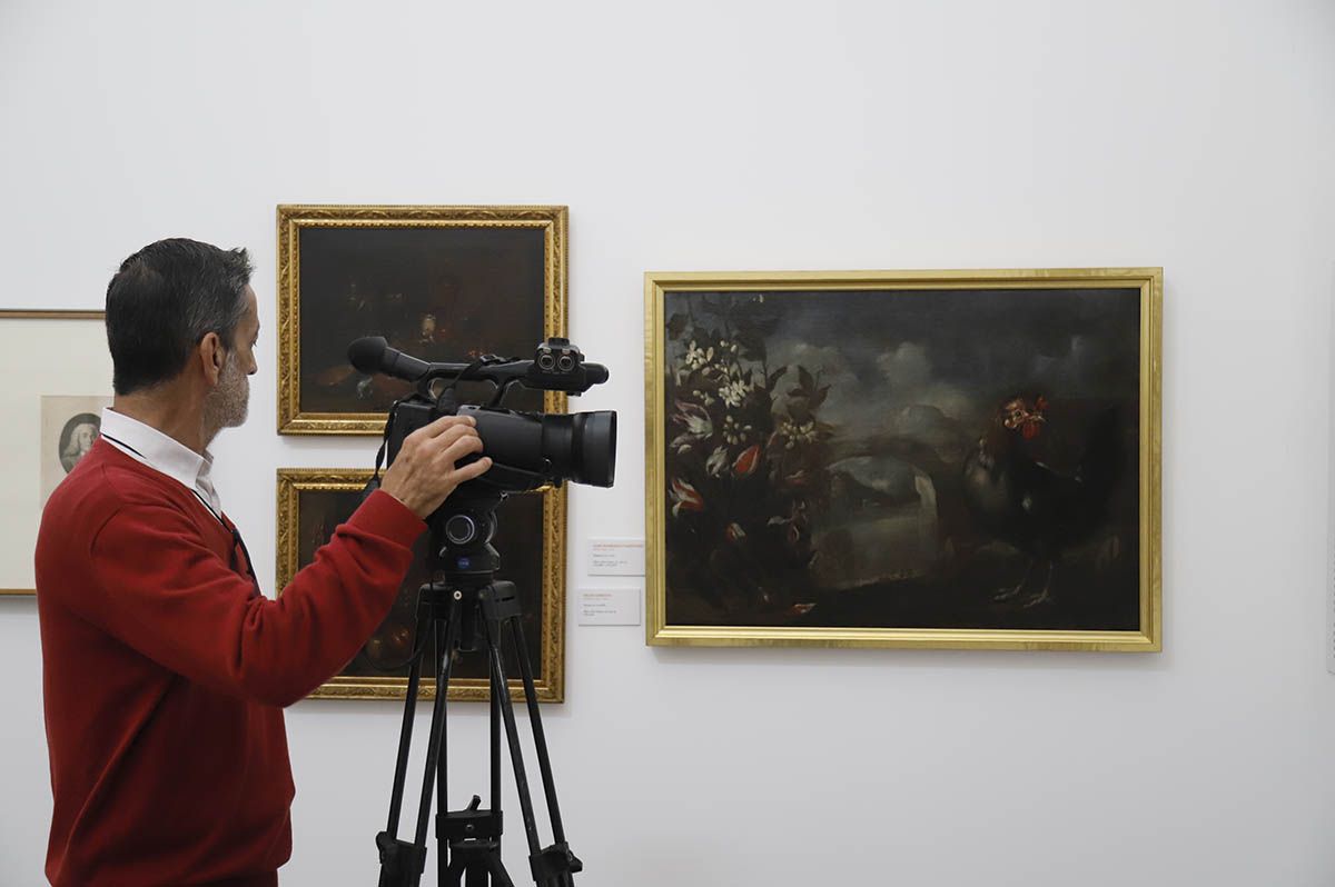 Exposición de la colección Avilés en el Museo de Bellas Artes de Córdoba