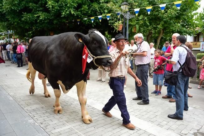 Fiestas de San ROQUE en Firgas