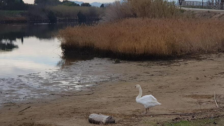 Polèmica a Castelló per si calia o no  &quot;llançar&quot; 200.000 m3 d&#039;aigua del riu al mar