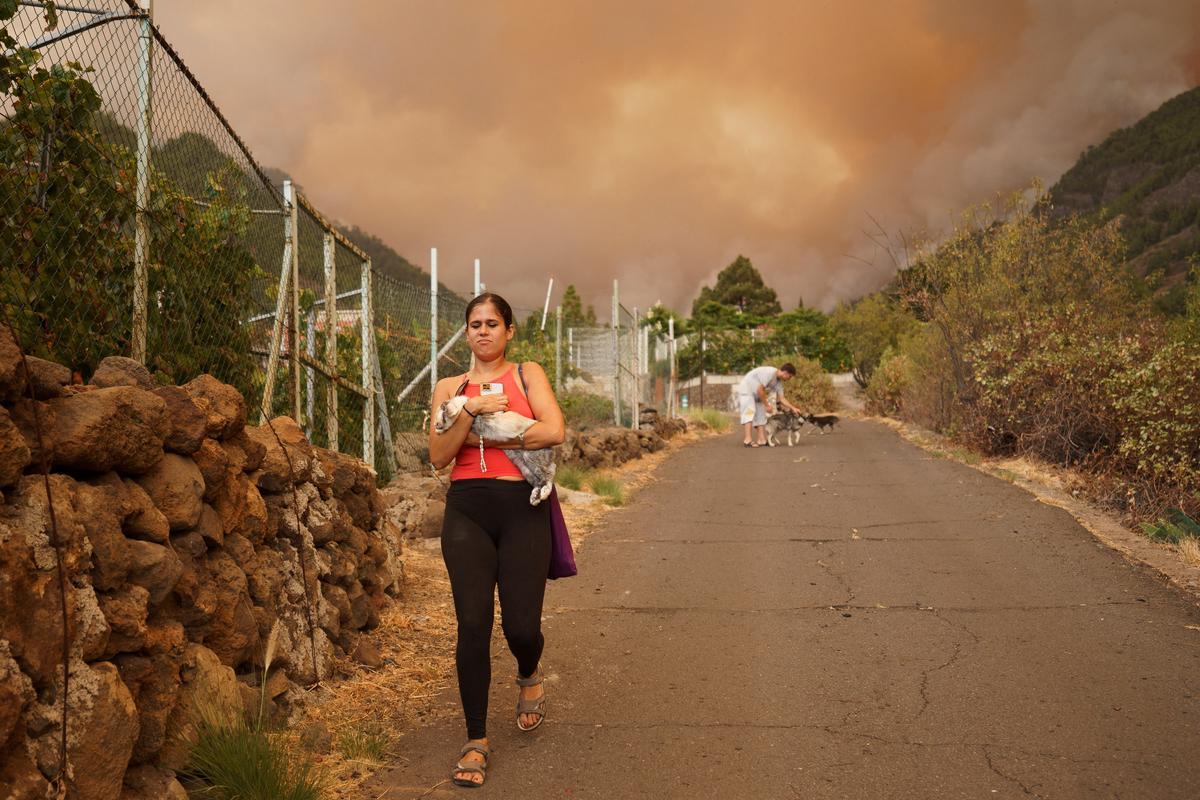 El incendio forestal de Tenerife, sin control