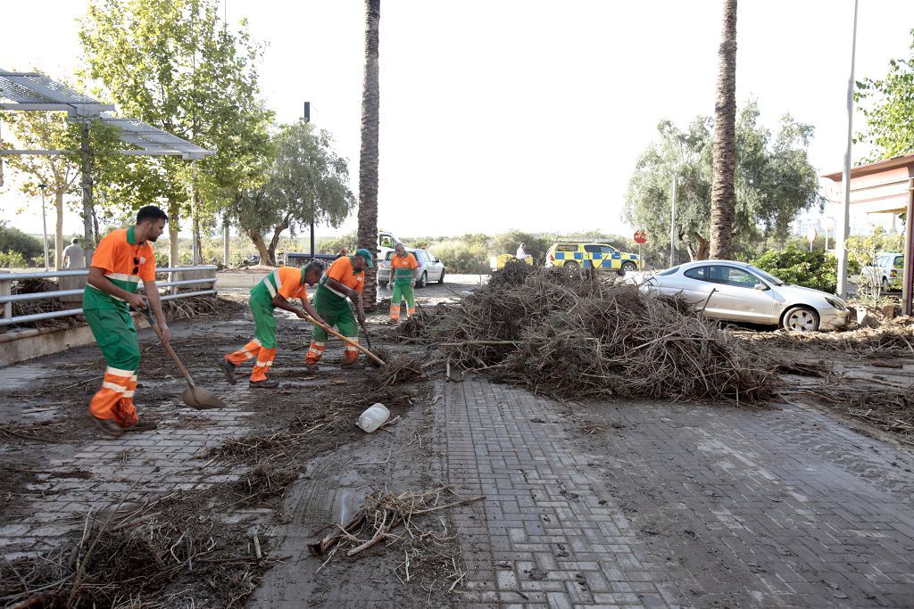 Estas son las imágenes que deja la DANA a su paso por Águilas