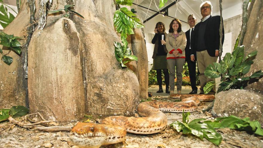 Museo de la Biodiversidad