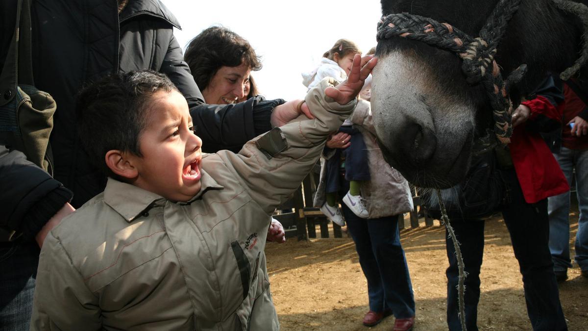 NIÑO