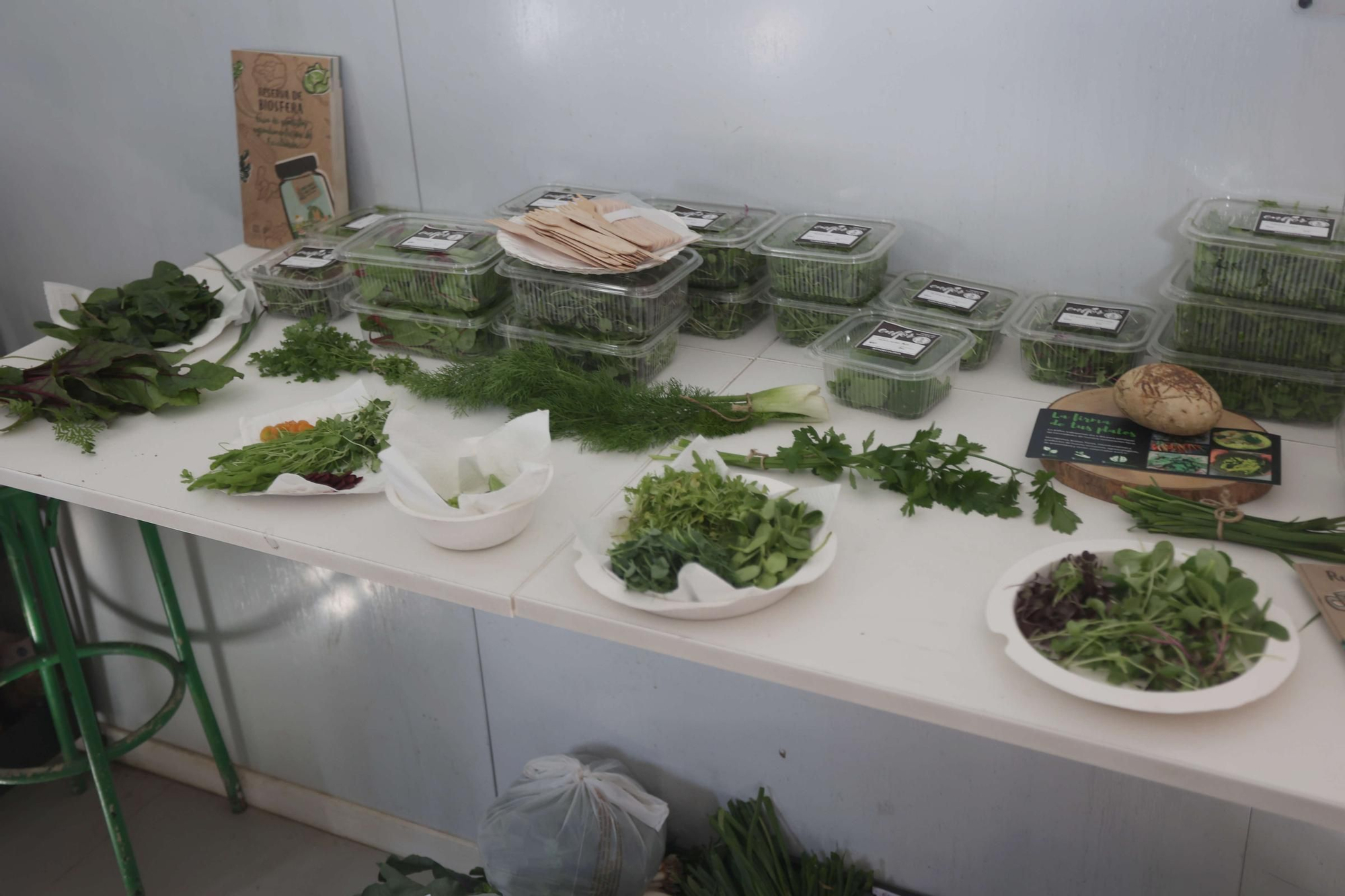 La Reserva da Biosfera Mariñas Coruñesas e Terras do Mandeo presenta en Paderne la feria Biocultura A Coruña 2025