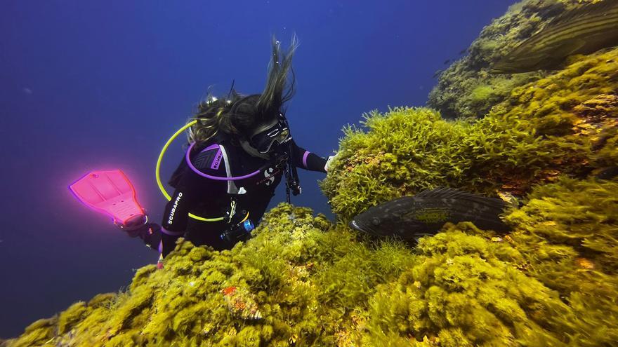 El buceo tira del turismo en Cartagena y las reservas aumentan un 40% respecto a 2021