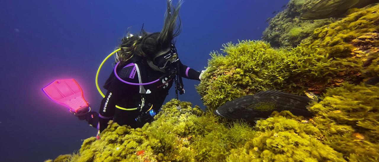 Una mujer practica buceo en la reserva marina de Cabo de Palos.