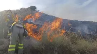 Alarma por un incendio forestal "descontrolado y veloz" en el monte de Lorca