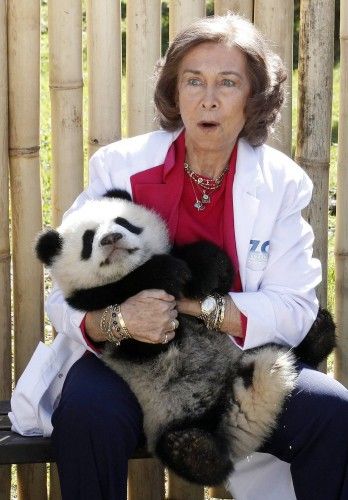 Spanish Queen Sofia reacts as she holds a panda at the Madrid Zoo & Aquarium