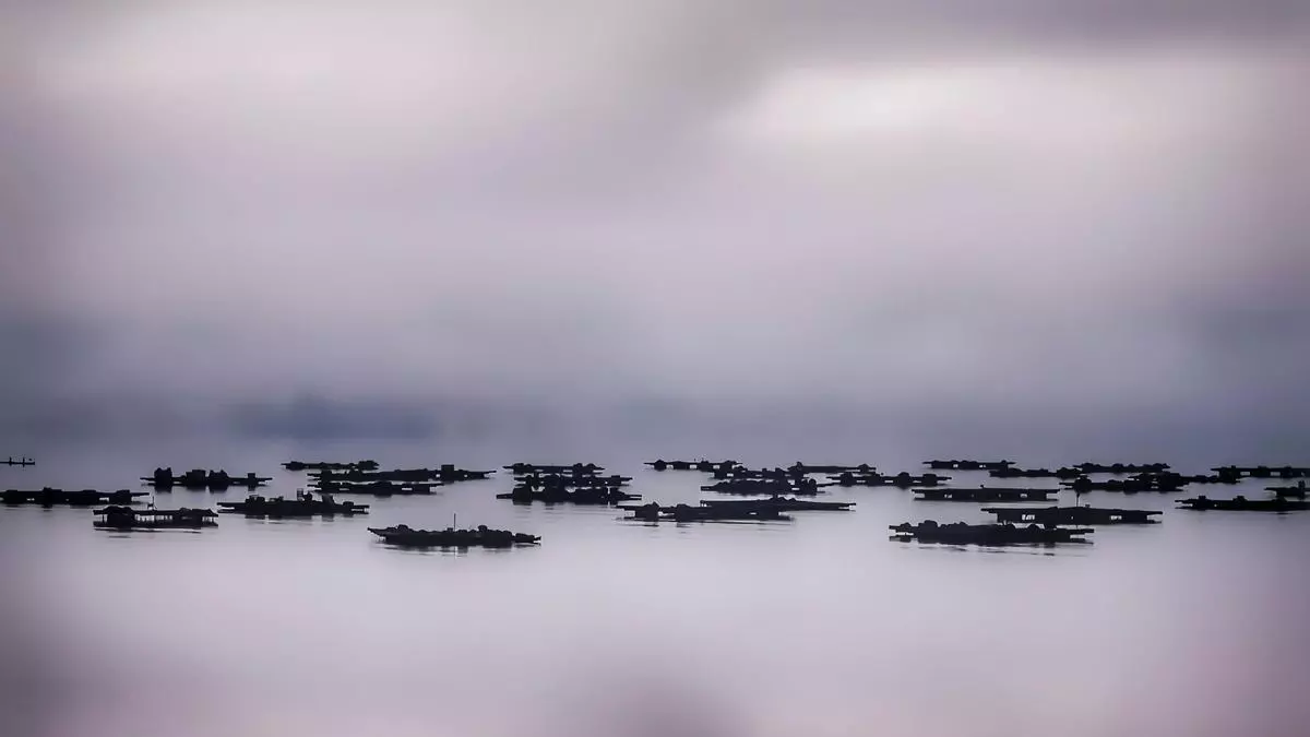 Una fotografía de las bateas de Rande, premiada en el certamen nacional Mi Rincón Favorito