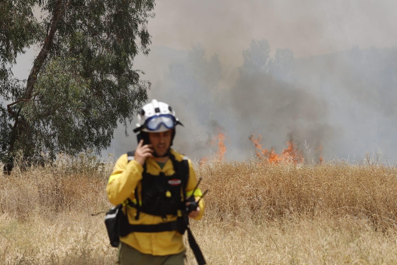Un incendio de pastos junto al Parque Joyero moviliza a bomberos, Infoca y Policía Local