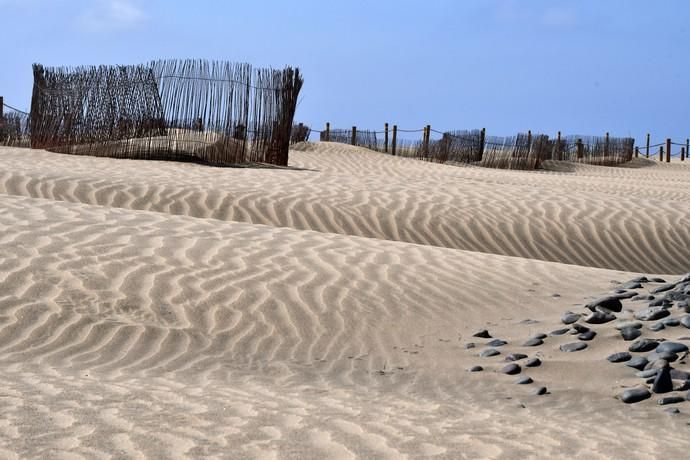 13/05/2019 MASPALOMAS. SAN BARTOLOME DE TIRAJANA. El presiddente del Cabildo de Gran Canria, Antonio Morales, y el consejero de Medio Ambiente y Emergencias, Miguel Ángel Rodríguez, informan del inicio de la segunda fase del proyecto para la recuperación de las dunas de Maspalomas, Masdunas, pionero en el mundo por sus carcterísticas .    Fotógrafa: YAIZA SOCORRO.  | 13/05/2019 | Fotógrafo: Yaiza Socorro