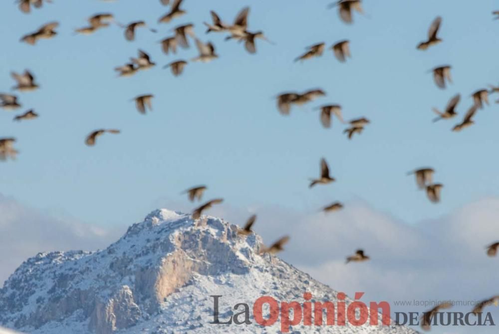 La nieve sigue siendo protagonista en el Noroeste