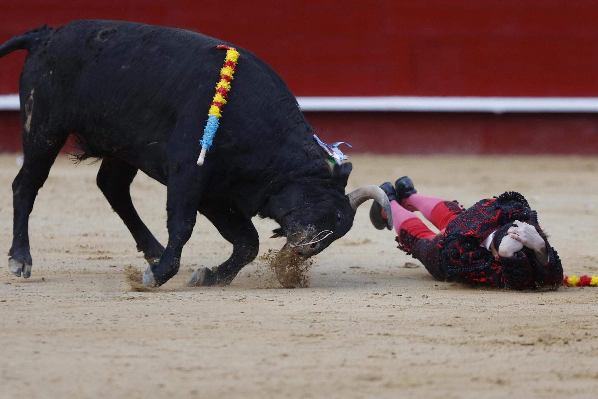 La novillada sin picadores de la Feria de Fallas, en imágenes