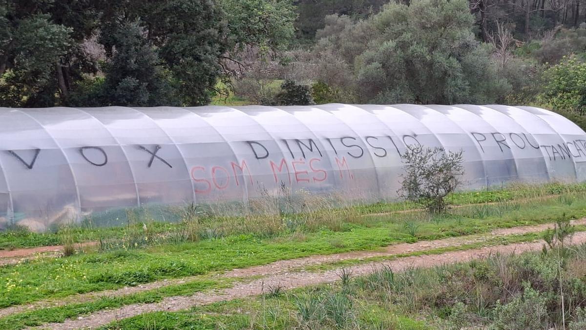 Imagen de la gran pintada que ha aparecido en un invernadero de Raixa.