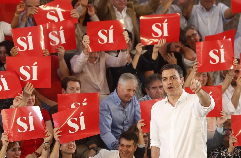 Mitin de Pedro Sánchez en Burjassot