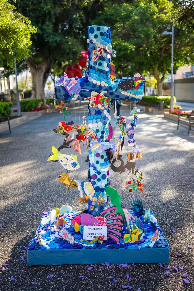 Cruces escolares en el centro de Santa Cruz