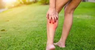 Consejos para actuar frente a las picaduras de mosquito o medusas