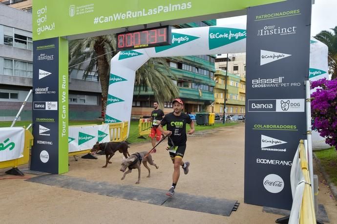 14-12-2019 LAS PALMAS DE GRAN CANARIA. Carrera de perros Can We Run, en el Parque Romano. Fotógrafo: ANDRES CRUZ  | 14/12/2019 | Fotógrafo: Andrés Cruz