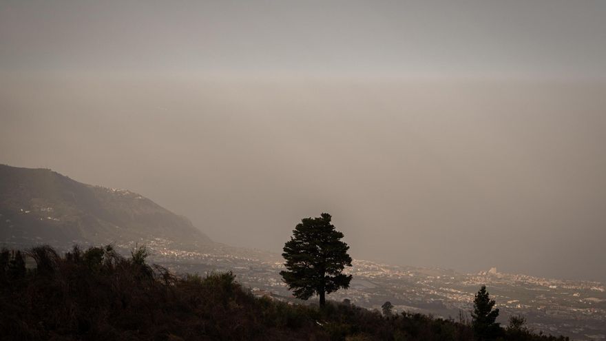 ¿Hasta cuándo durará la calima en Canarias?