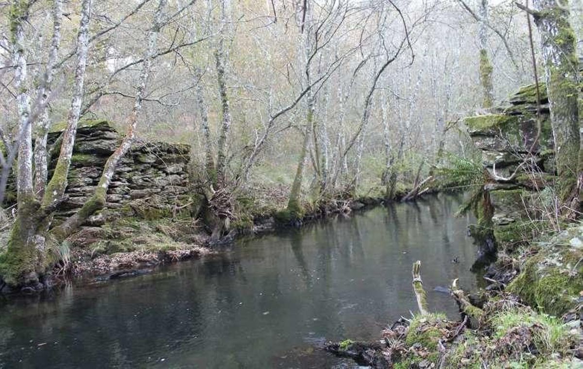 Cen anos de luz eléctrica na vila de Lalín