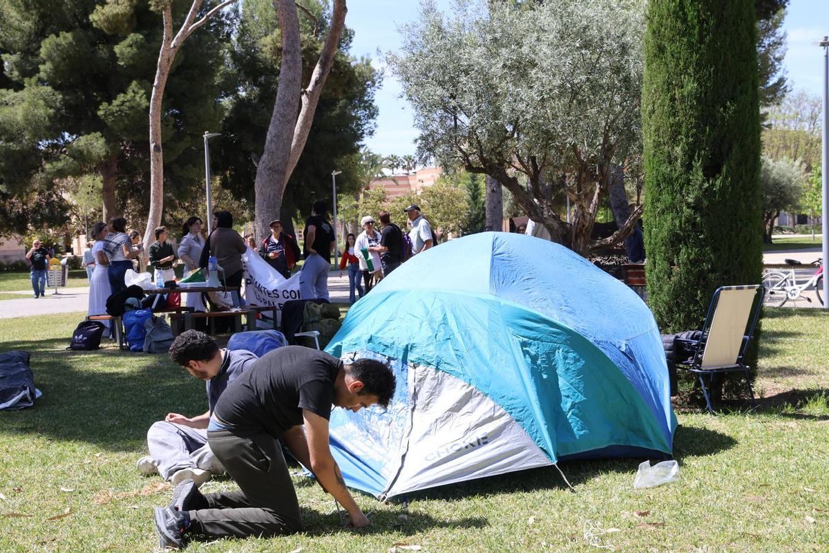 La acampada pro Palestina iniciada en ayer en la Universidad de Alicante