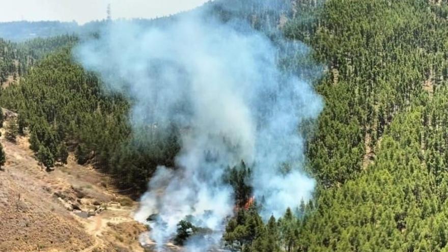 Se declara un incendio en la cumbre de Gran Canaria