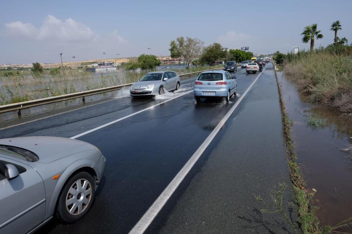 En directo: Los agricultores cifran en 550 millones las pérdidas en el campo de la provincia de Alicante