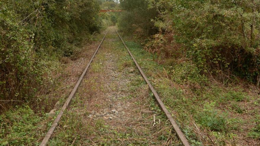 Viejas vías del tren a su paso por Caldas.