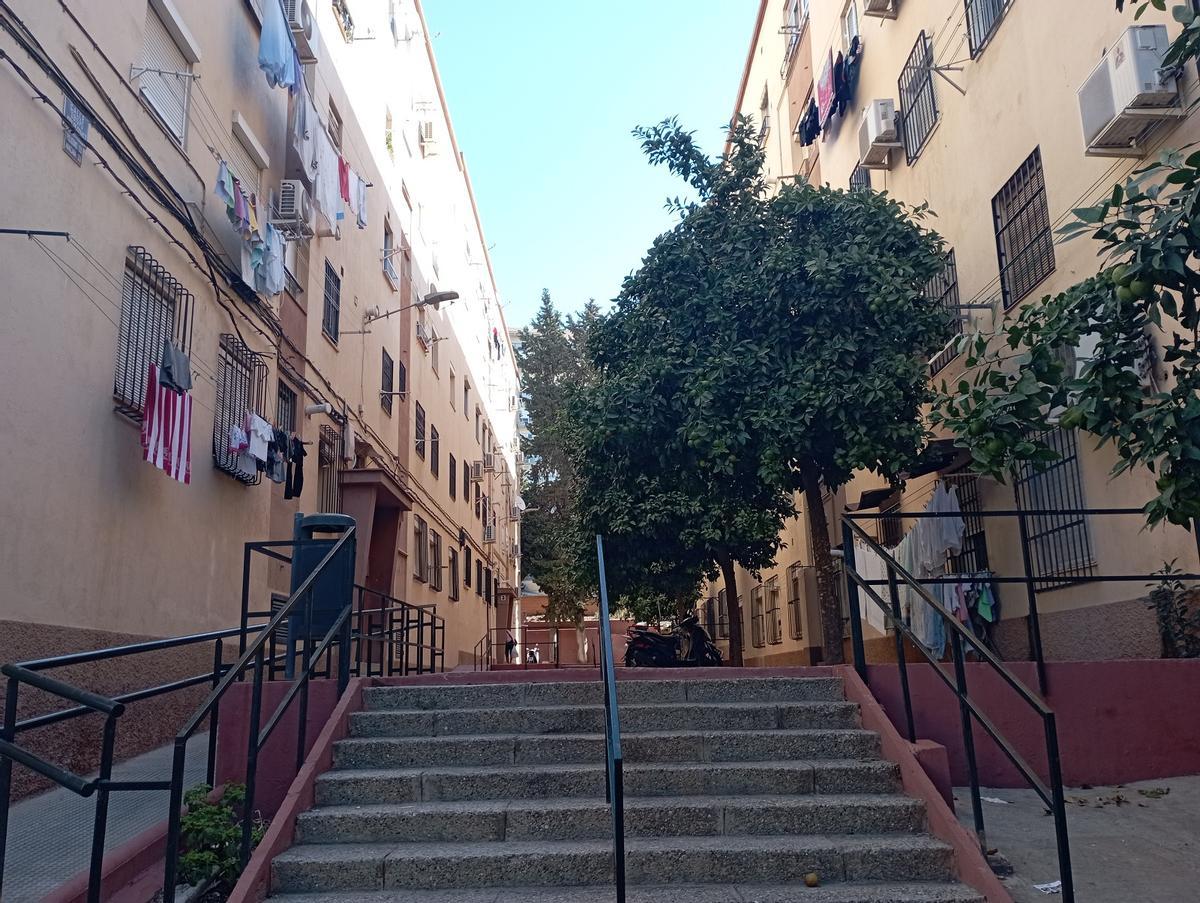 Naranjos en una calle peatonal de Las Flores.