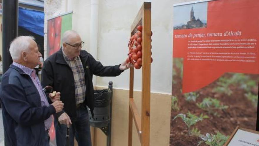 Senderismo gastronómico y visitas completan la Fira de la Tomata de Penjar en Alcalà