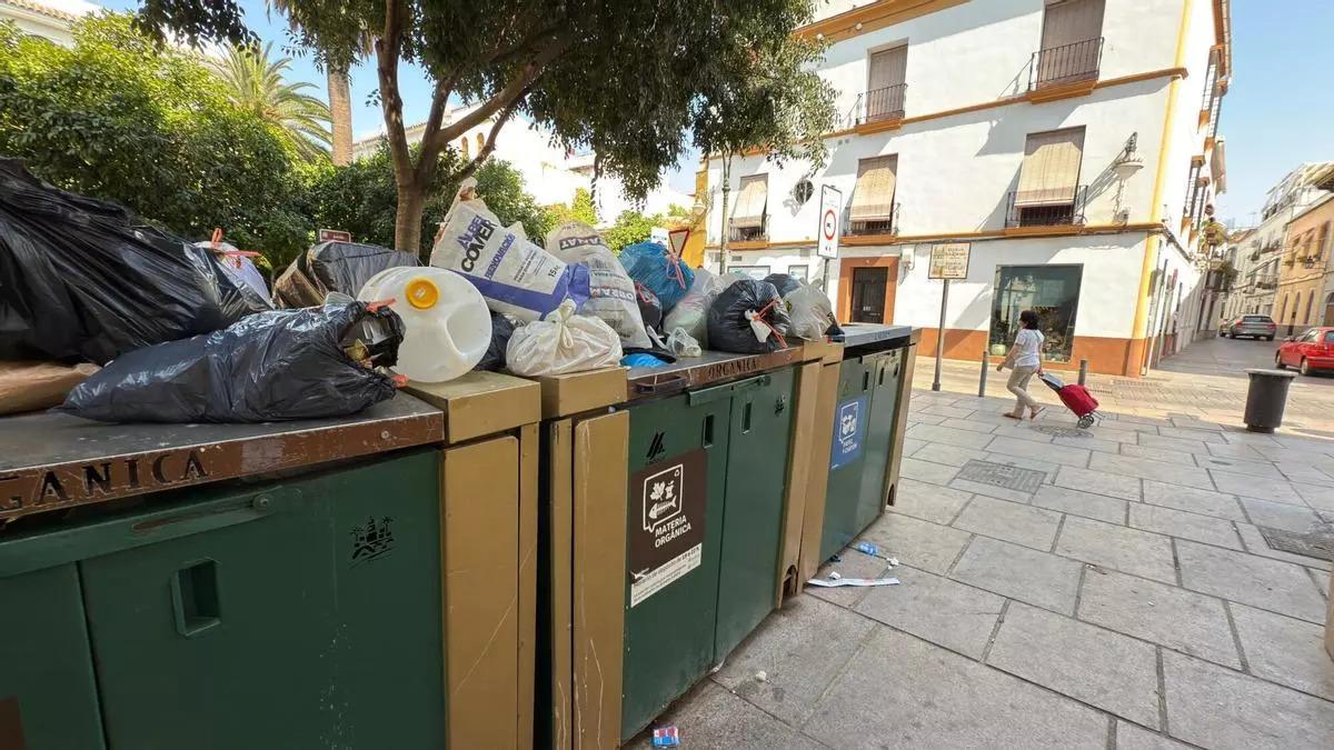 Contenedores de basura en Córdoba, en una imagen de archivo.