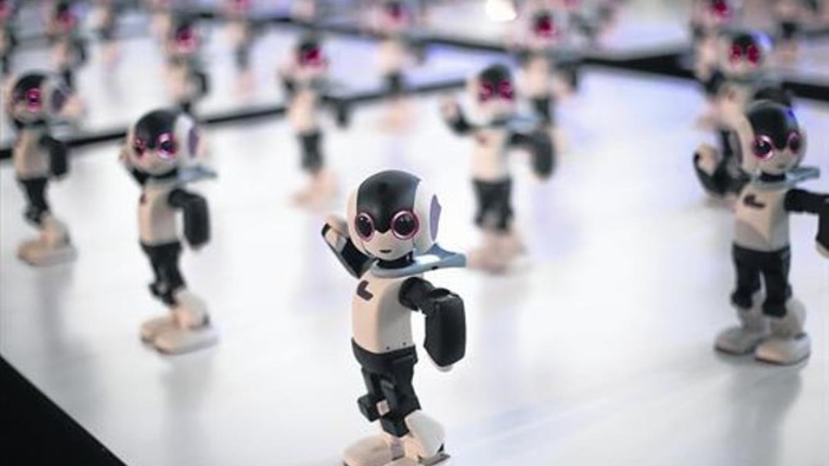 Un centenar de  unidades del robot humanoide Robi, en una demostración en Tokio, el 20 de enero.