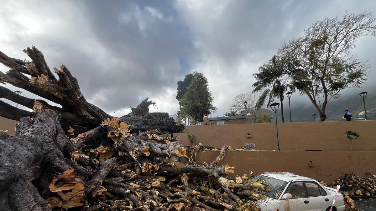 La primera mañana realejera tras la caída del drago de San Francisco